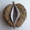 Вазы, сахарницы, арт-объекты  (8)