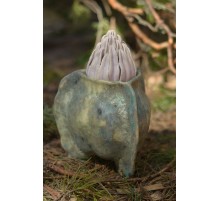 Vase "In the Spring"