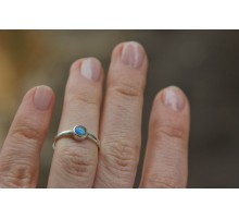 «Легко и просто» с лабрадором